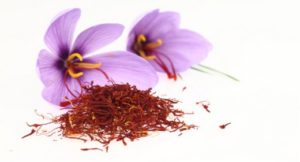 Dried saffron spice and Saffron flowers