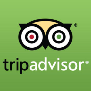 trip-advisor-logo1