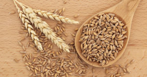 farro 1