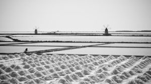 LE_SALINE_DI_TRAPANI_Vincenzo_Barilari_Rome_2012