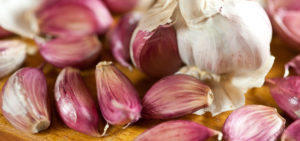 spicchi-aglio-rosso-sulmona