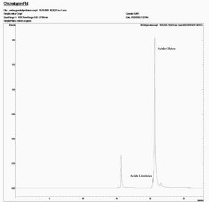 figura-1-gascromatogramma