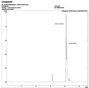 figura-2-gascromatogramma